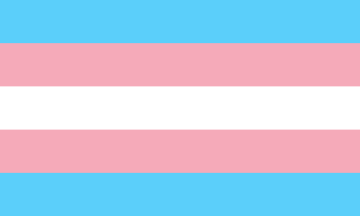 Pink & Black: In Support of Trans Identity – The&nbsp;Workshop